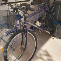 Bici bicicletta mtb o passeggio