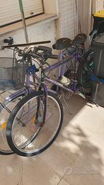 Bici bicicletta mtb o passeggio