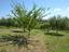 Immagine 8