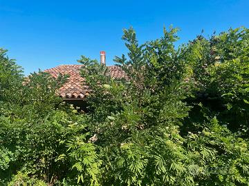 Rif. PC-S157 TEOLO - RUSTICO ANNI '900 CON TERRENO