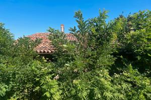 Rif. PC-S157 TEOLO - RUSTICO ANNI '900 CON TERRENO