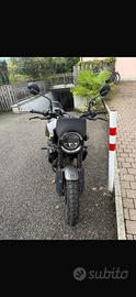 Husqvarna Svartpilen 401 Full Optional