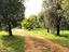 Immagine 24