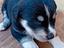 Immagine 4