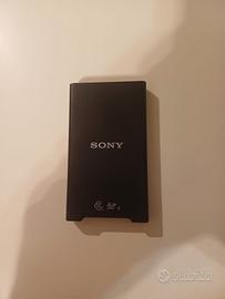 lettore schede cf express sony 