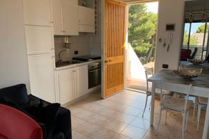 Vasto Marina centro stagione estiva