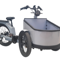 Cargobike a pedalata assistita