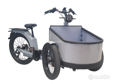 Cargobike a pedalata assistita