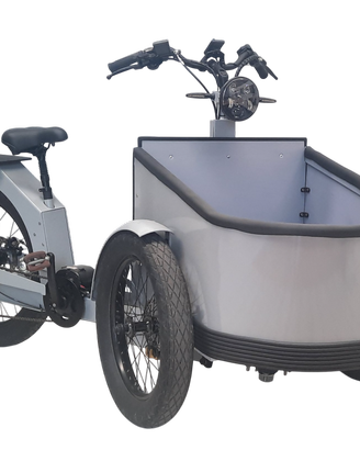 Cargobike a pedalata assistita