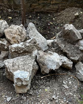 Pietre decorative naturali – ideali per giardino