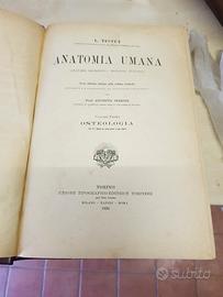 17 libri di medicina del 1920