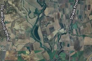 Terreno agricolo tra Montalto e Canino