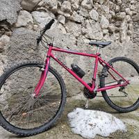 Mtb Miori anni 90'