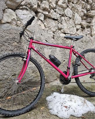 Mtb Miori anni 90'