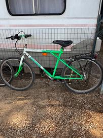 Bicicletta adulto