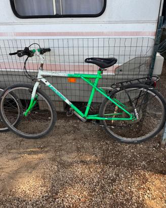 Bicicletta adulto