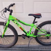 bicicletta da ragazzo