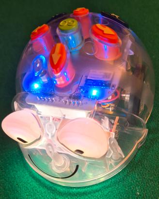 Robot programmabile Blue Bot TTS