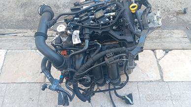 motore Ford Fiesta (13/17)1.0 12V