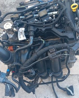 motore Ford Fiesta (13/17)1.0 12V