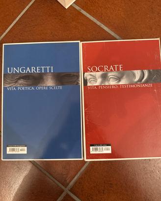 libro di socrate e ungaretti