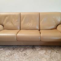 Coppia divani Busnelli