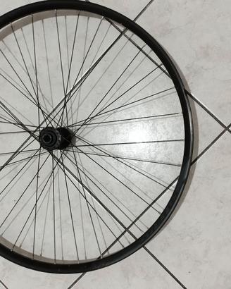 Ruota anteriore MTB 