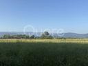 terreno-edificabile-residenziale-reana-del-ro-