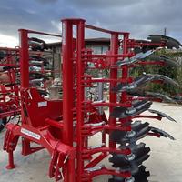 Dischiera Rapisarda focus spring