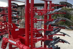 Dischiera Rapisarda focus spring