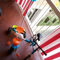 Kit Triciclo Chicco Pellicano + Bici Senza Pedali