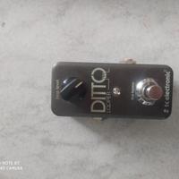 Ditto looper e rush booster