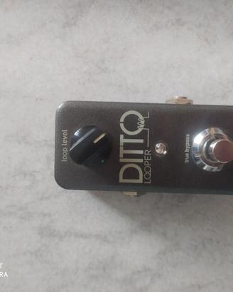 Ditto looper e rush booster