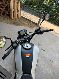 benelli leocino 125