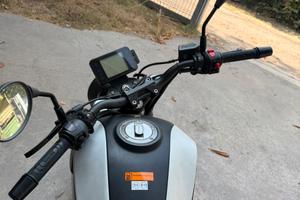benelli leocino 125