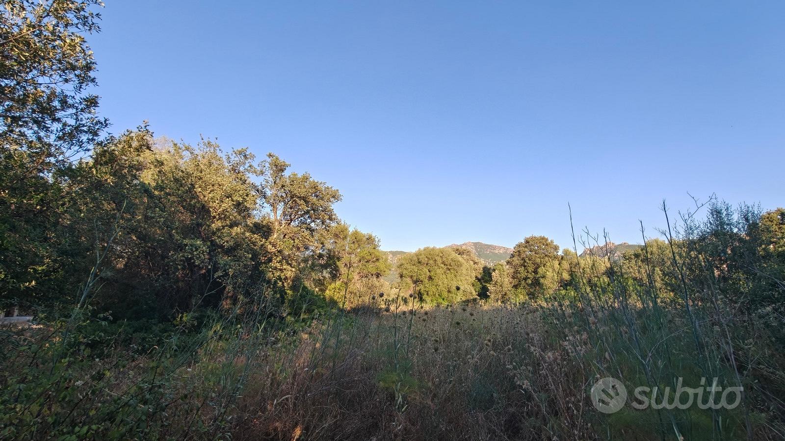 Terreno a Padru via Firenze Aspiddalzu - Vista 3