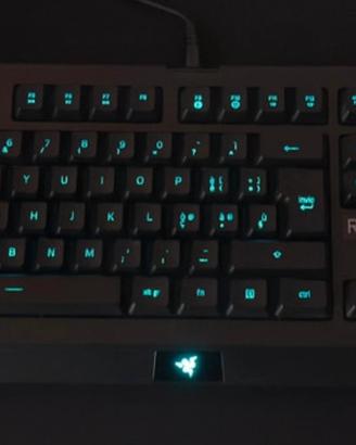 Tastiera Razer Cynosa Lite retroilluminata