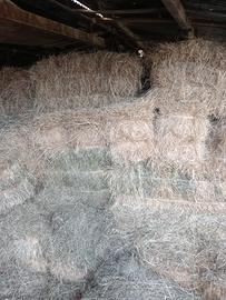 fieno balle ballette