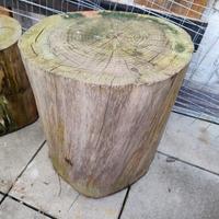 Seduta o tavolino da giardino