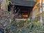 Immagine 10