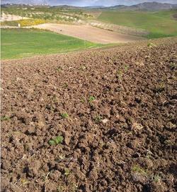 RGE 78/2016 Trib ENNA - LOTTO 2