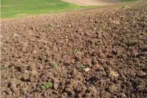 RGE 78/2016 Trib ENNA - LOTTO 2