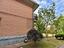 Immagine 9