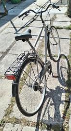 bicicletta da passeggio