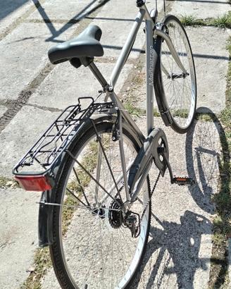 bicicletta da passeggio