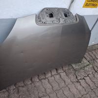 Cofano lancia Y usato grandinato