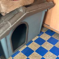 Cuccia cane