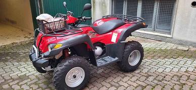 Quad AX300 GAMAX del 2013