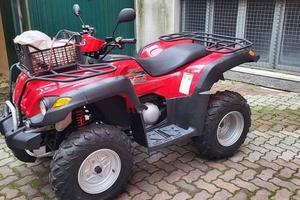 Quad AX300 GAMAX del 2013