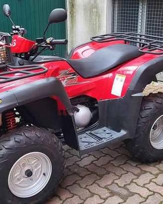 Quad AX300 GAMAX del 2013